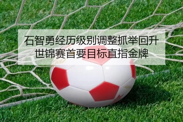 shi-zhi-yong-jing-li-ji-bie-tiao-zheng-zhua-ju-hui-sheng-shi-jin-sai-shou-yao-mu-biao-zhi-zhi-jin-pai-2-715.jpg
