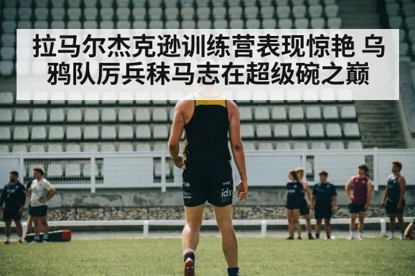 拉马尔杰克逊训练营表现惊艳 乌鸦队厉兵秣马志在超级碗之巅