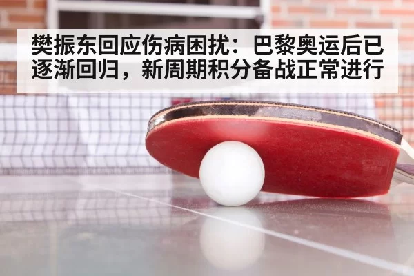 樊振东回应伤病困扰:巴黎奥运后已逐渐回归,新周期积分备战正常进行